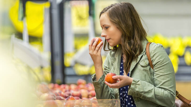 Нюхом полнится: в РФ создан прибор для анализа качества продуктов по запаху